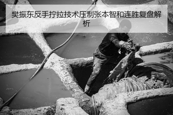 fan-zhen-dong-fan-shou-ning-la-ji-shu-ya-zhi-zhang-ben-zhi-he-lian-sheng-fu-pan-jie-xi-3-882.jpg
