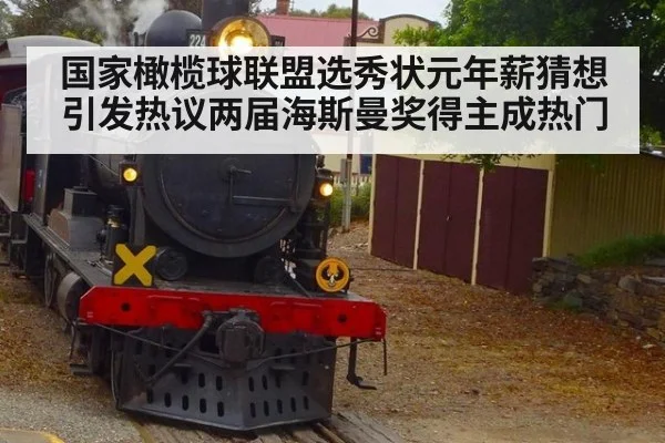 国家橄榄球联盟选秀状元年薪猜想引发热议两届海斯曼奖得主成热门